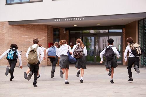 Transition year